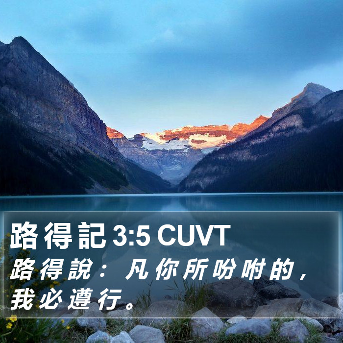 路 得 記 3:5 CUVT Bible Study