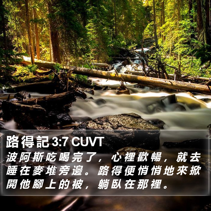 路 得 記 3:7 CUVT Bible Study