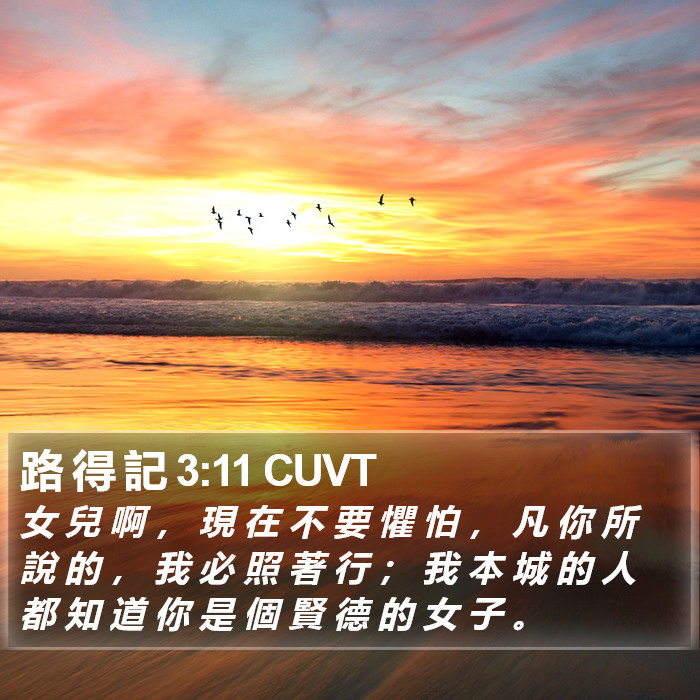 路 得 記 3:11 CUVT Bible Study