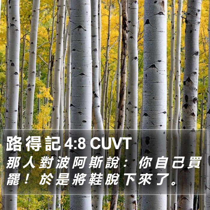 路 得 記 4:8 CUVT Bible Study