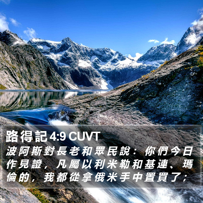 路 得 記 4:9 CUVT Bible Study