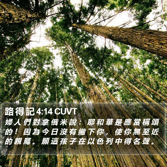 路 得 記 4:14 CUVT Bible Study