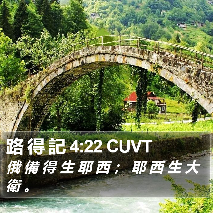 路 得 記 4:22 CUVT Bible Study