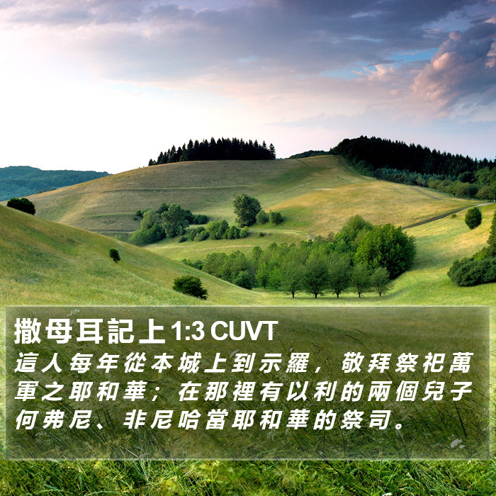 撒 母 耳 記 上 1:3 CUVT Bible Study