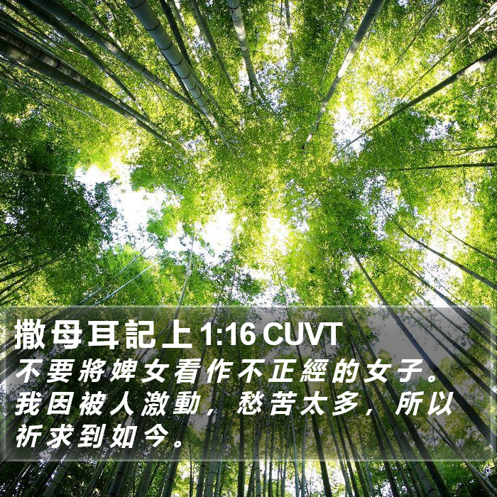 撒 母 耳 記 上 1:16 CUVT Bible Study