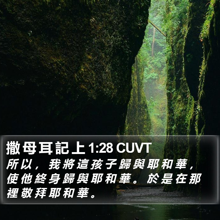 撒 母 耳 記 上 1:28 CUVT Bible Study