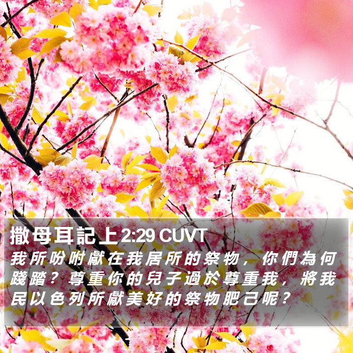 撒 母 耳 記 上 2:29 CUVT Bible Study