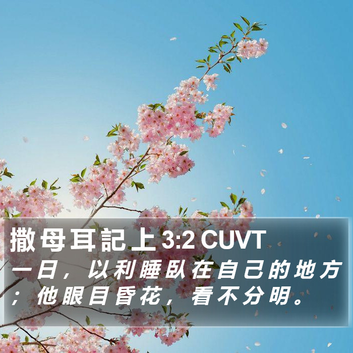 撒 母 耳 記 上 3:2 CUVT Bible Study