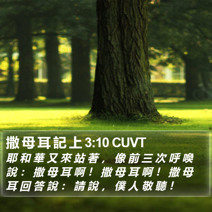 撒 母 耳 記 上 3:10 CUVT Bible Study