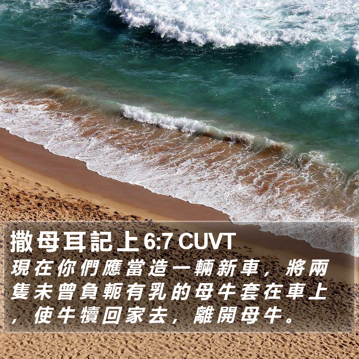 撒 母 耳 記 上 6:7 CUVT Bible Study