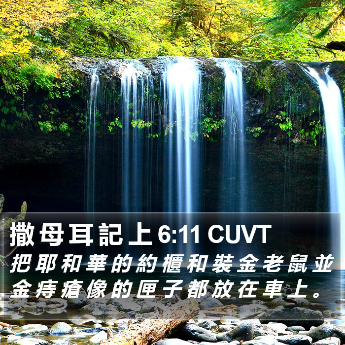 撒 母 耳 記 上 6:11 CUVT Bible Study