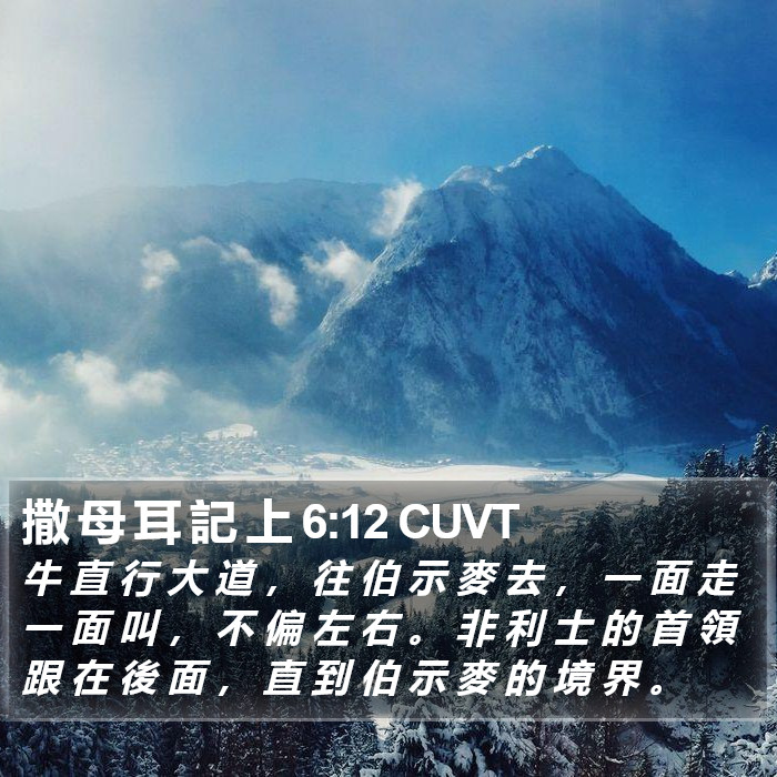 撒 母 耳 記 上 6:12 CUVT Bible Study