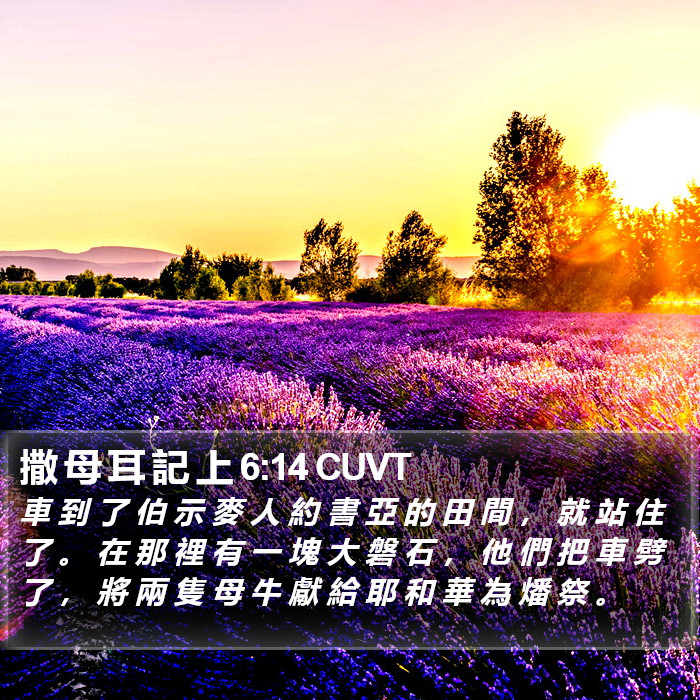 撒 母 耳 記 上 6:14 CUVT Bible Study