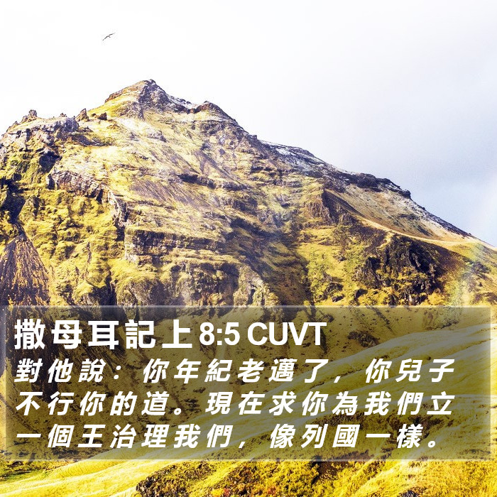 撒 母 耳 記 上 8:5 CUVT Bible Study