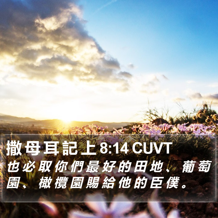 撒 母 耳 記 上 8:14 CUVT Bible Study