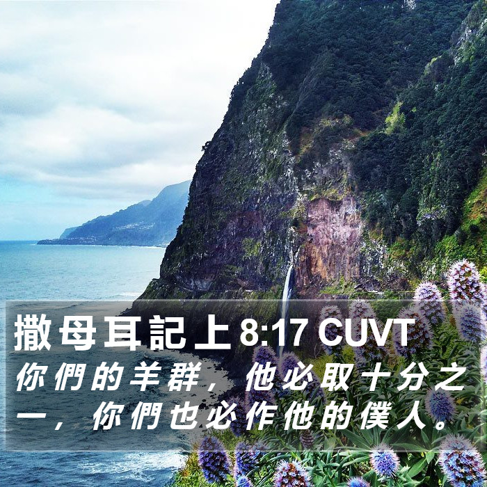 撒 母 耳 記 上 8:17 CUVT Bible Study