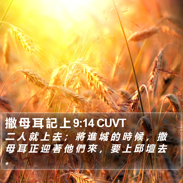 撒 母 耳 記 上 9:14 CUVT Bible Study