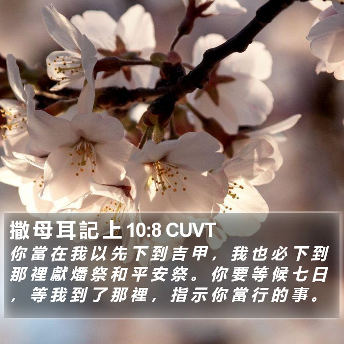 撒 母 耳 記 上 10:8 CUVT Bible Study