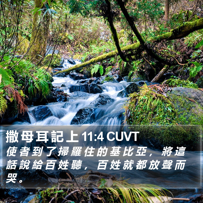 撒 母 耳 記 上 11:4 CUVT Bible Study