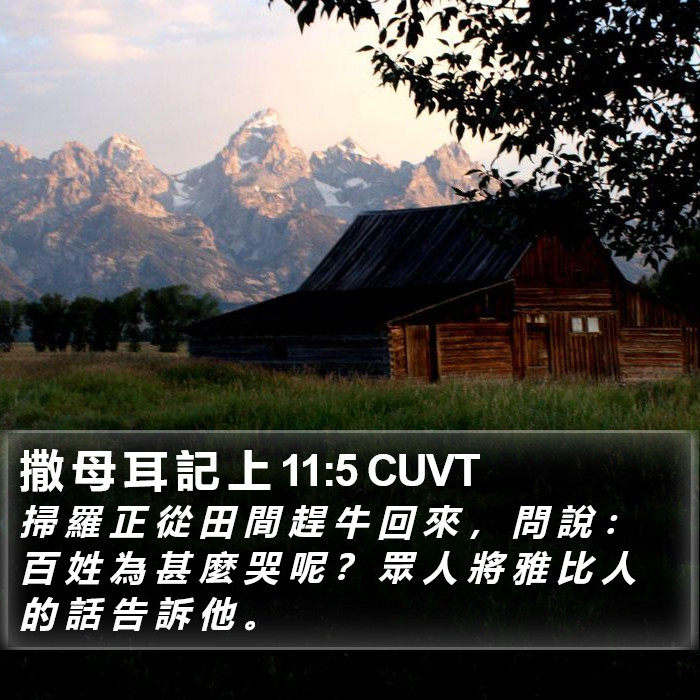 撒 母 耳 記 上 11:5 CUVT Bible Study