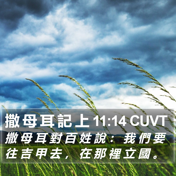 撒 母 耳 記 上 11:14 CUVT Bible Study