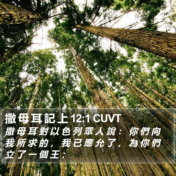 撒 母 耳 記 上 12:1 CUVT Bible Study