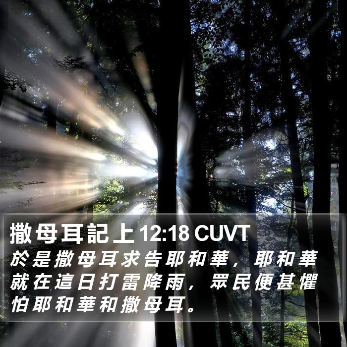 撒 母 耳 記 上 12:18 CUVT Bible Study