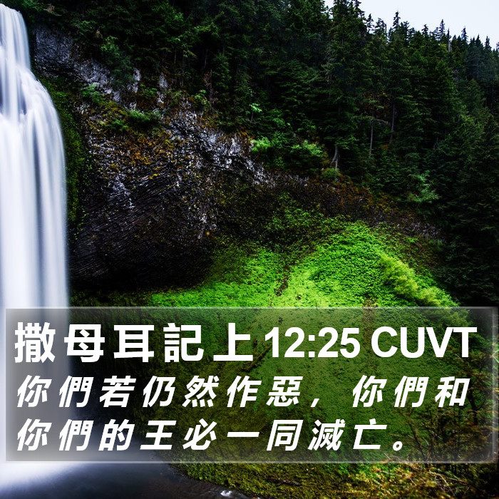 撒 母 耳 記 上 12:25 CUVT Bible Study