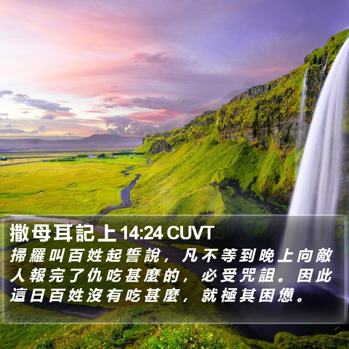 撒 母 耳 記 上 14:24 CUVT Bible Study