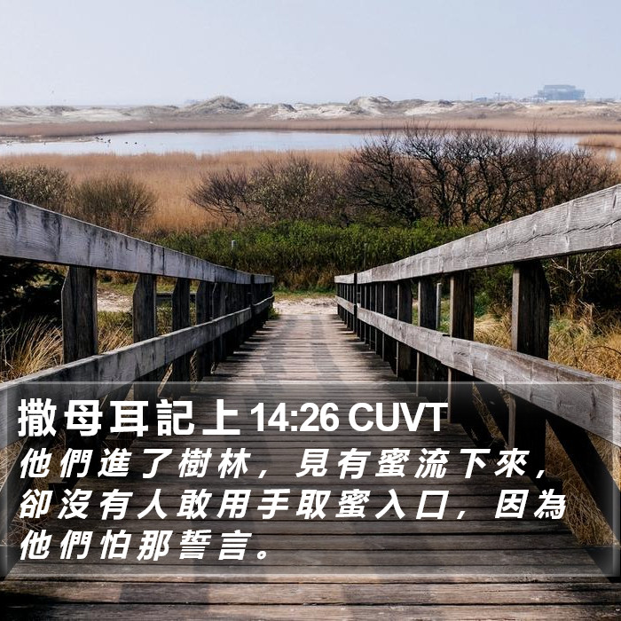 撒 母 耳 記 上 14:26 CUVT Bible Study