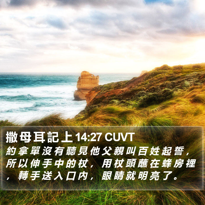 撒 母 耳 記 上 14:27 CUVT Bible Study