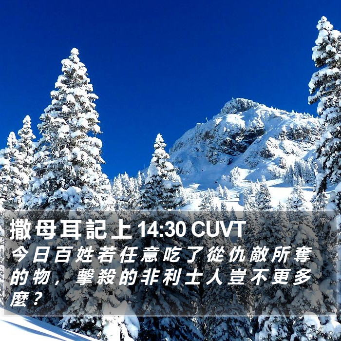 撒 母 耳 記 上 14:30 CUVT Bible Study