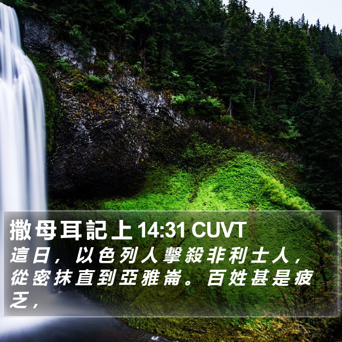 撒 母 耳 記 上 14:31 CUVT Bible Study