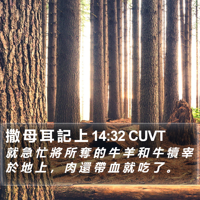 撒 母 耳 記 上 14:32 CUVT Bible Study