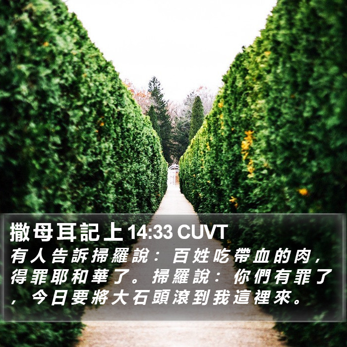 撒 母 耳 記 上 14:33 CUVT Bible Study