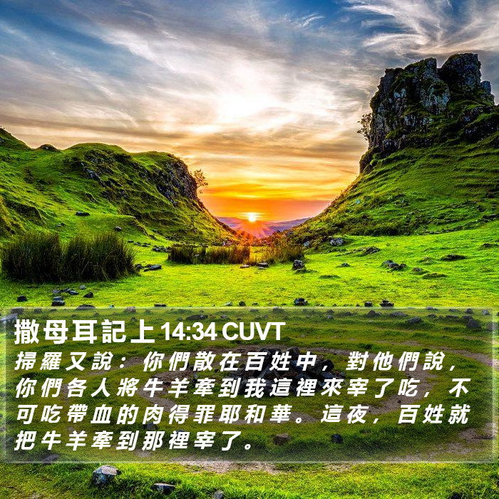 撒 母 耳 記 上 14:34 CUVT Bible Study