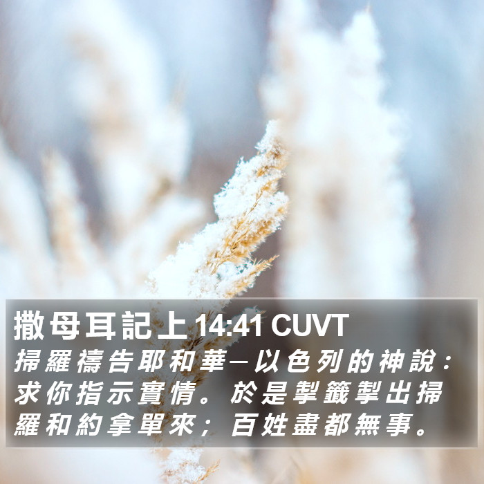 撒 母 耳 記 上 14:41 CUVT Bible Study