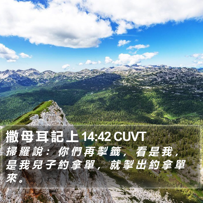 撒 母 耳 記 上 14:42 CUVT Bible Study