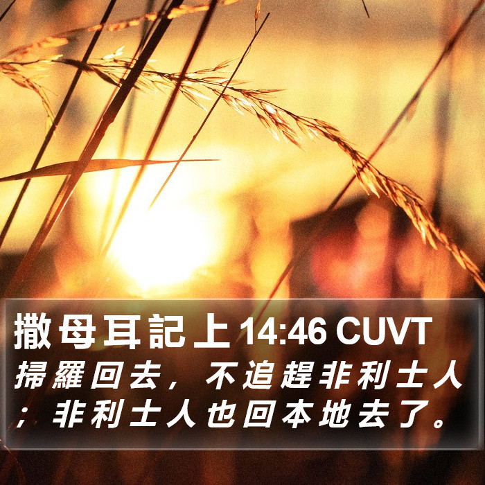 撒 母 耳 記 上 14:46 CUVT Bible Study