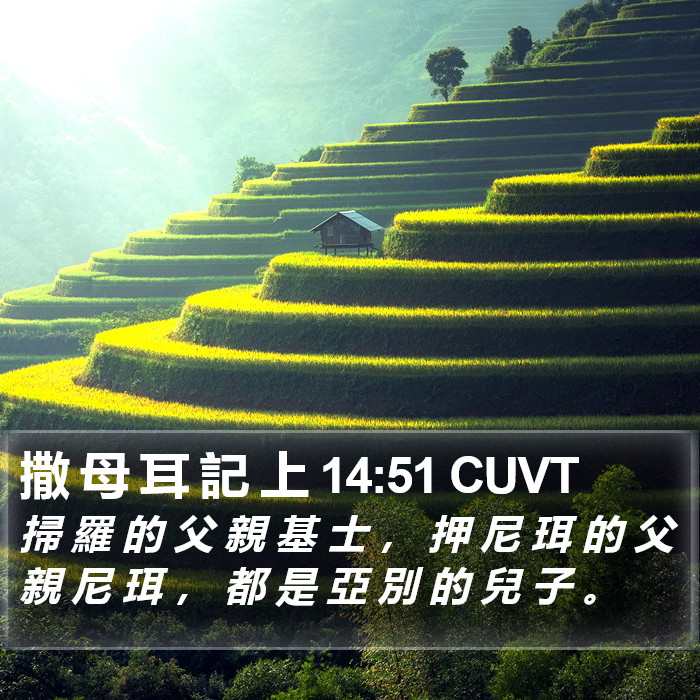 撒 母 耳 記 上 14:51 CUVT Bible Study