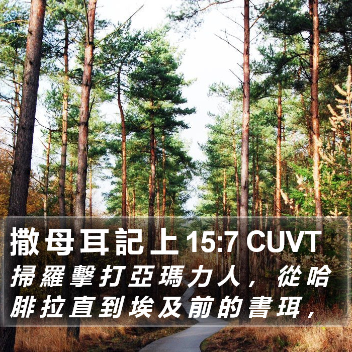 撒 母 耳 記 上 15:7 CUVT Bible Study
