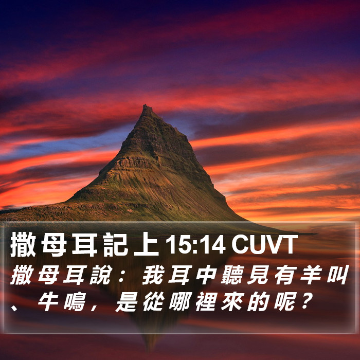 撒 母 耳 記 上 15:14 CUVT Bible Study