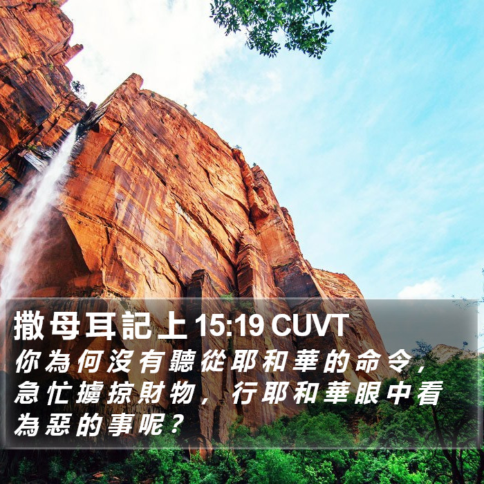 撒 母 耳 記 上 15:19 CUVT Bible Study