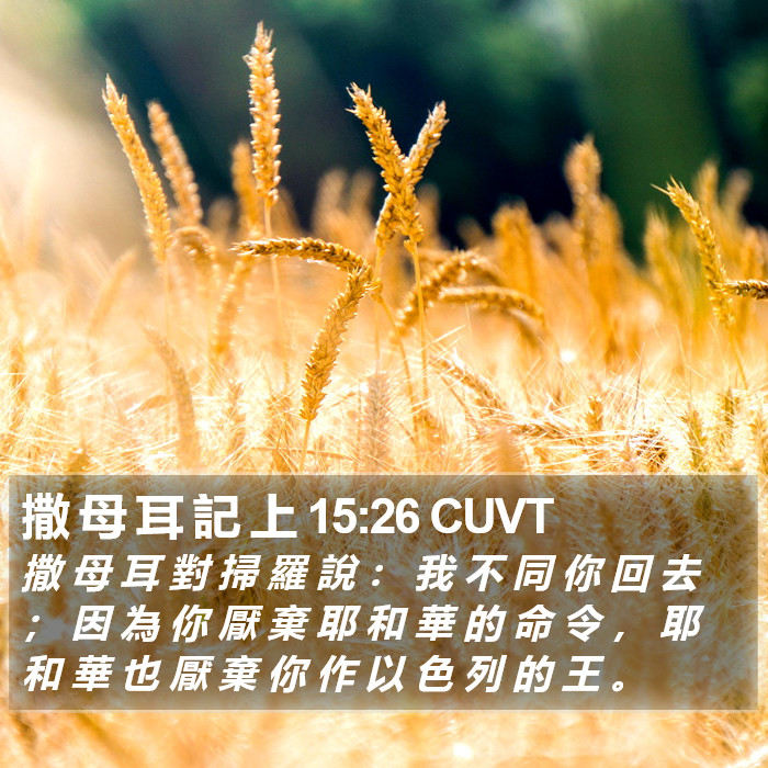 撒 母 耳 記 上 15:26 CUVT Bible Study