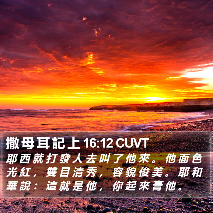 撒 母 耳 記 上 16:12 CUVT Bible Study