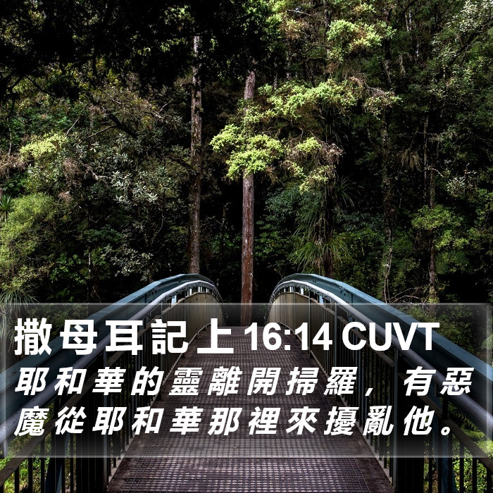 撒 母 耳 記 上 16:14 CUVT Bible Study