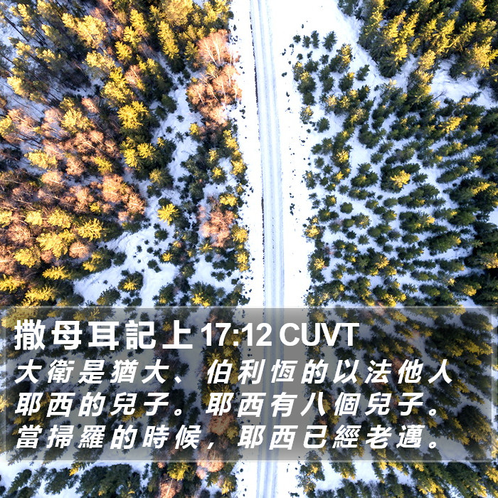 撒 母 耳 記 上 17:12 CUVT Bible Study