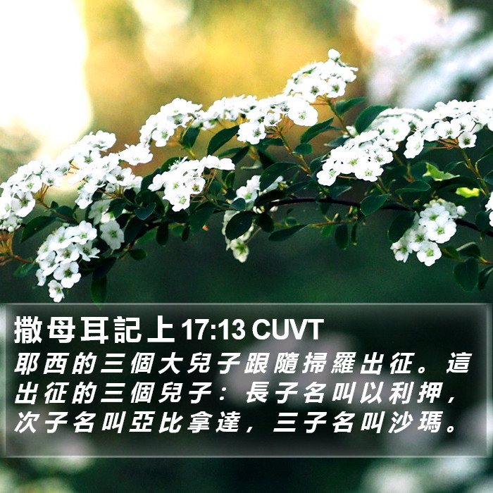 撒 母 耳 記 上 17:13 CUVT Bible Study