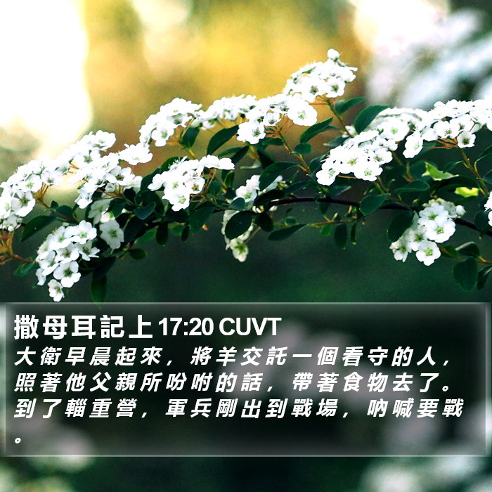 撒 母 耳 記 上 17:20 CUVT Bible Study