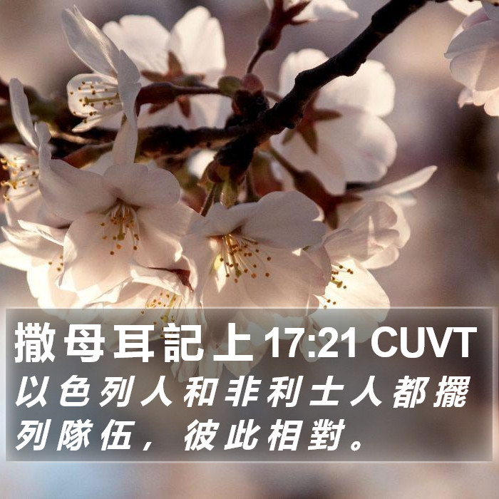 撒 母 耳 記 上 17:21 CUVT Bible Study